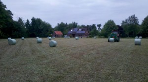 2013-06-12_15-07-18_421